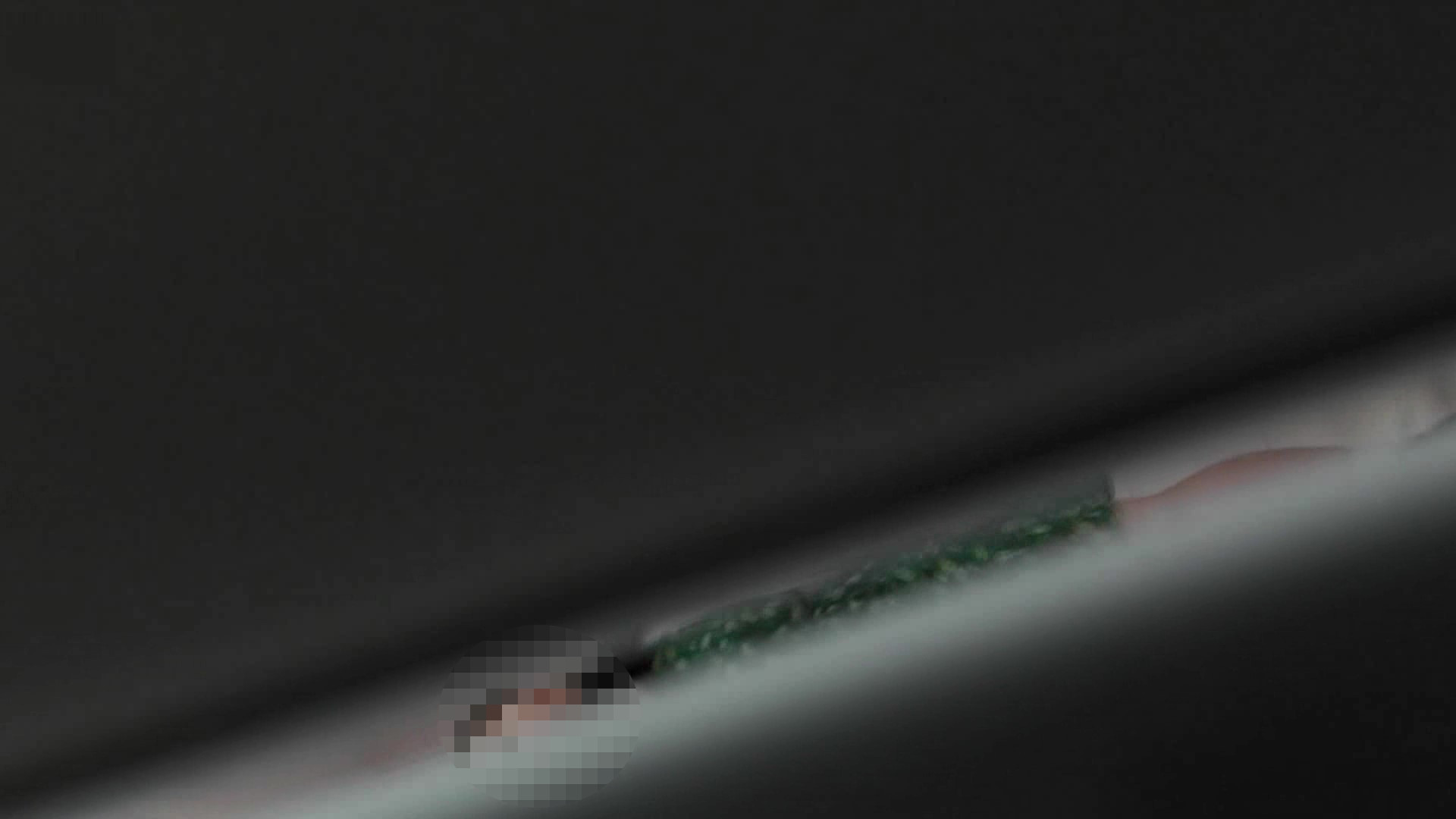 美しい日本の未来 No.11S級美女の大量脱糞！モンナ伝説の始まりはここから！